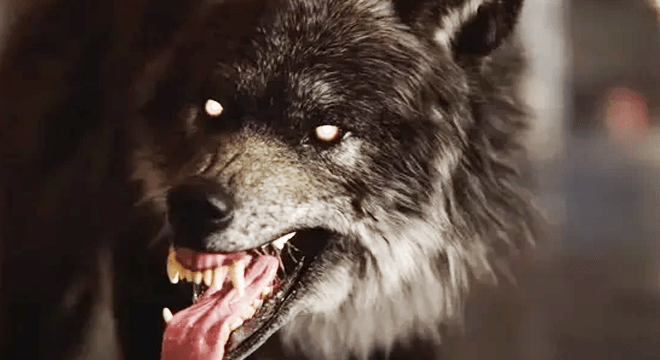 Werewolf: The Apoclapse – Heart of the Forest Первые Подробности