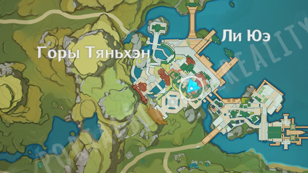 торговец-19