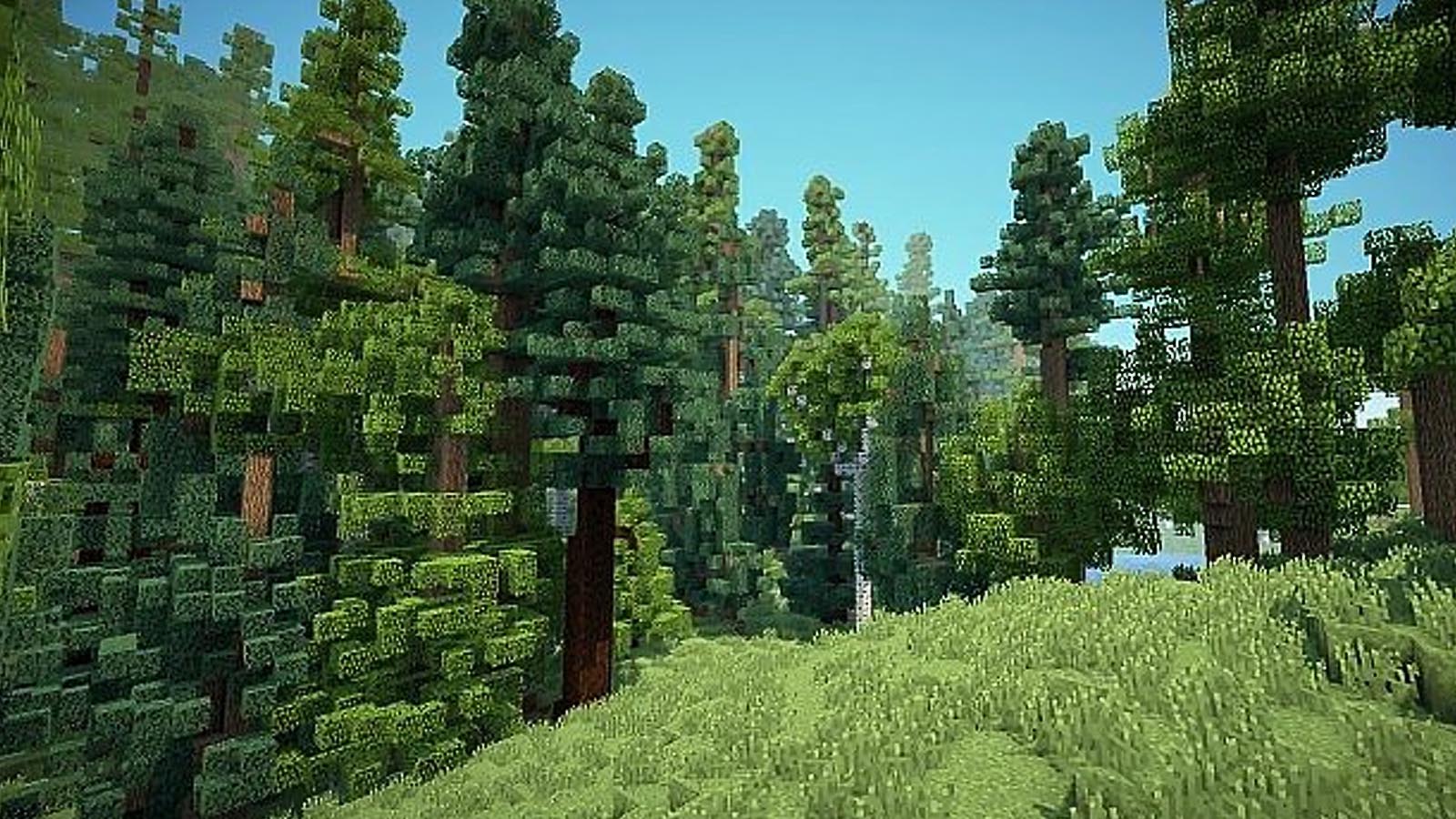 Dynamic Trees Minecraft — Мод на Рост Деревьев