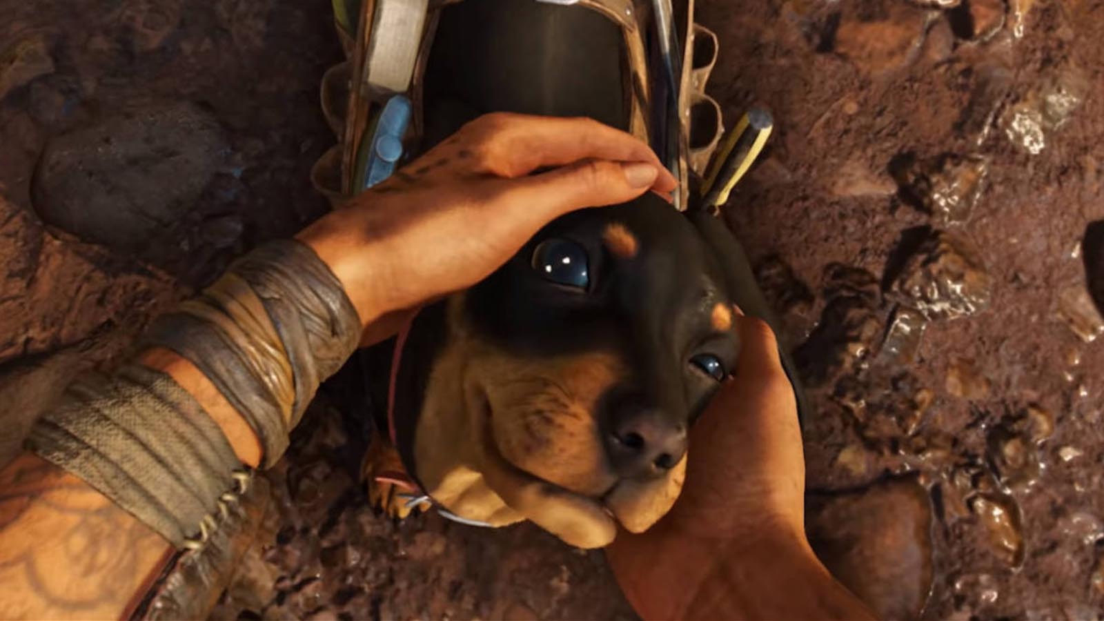Собака, Крокодил и Пума – Это Еще не Все. Far Cry 6 Предложит Множество Питомцев.