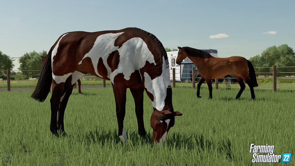 Animals Farming Simulator 22. Species, trade, maintenance, transportation,  etc.