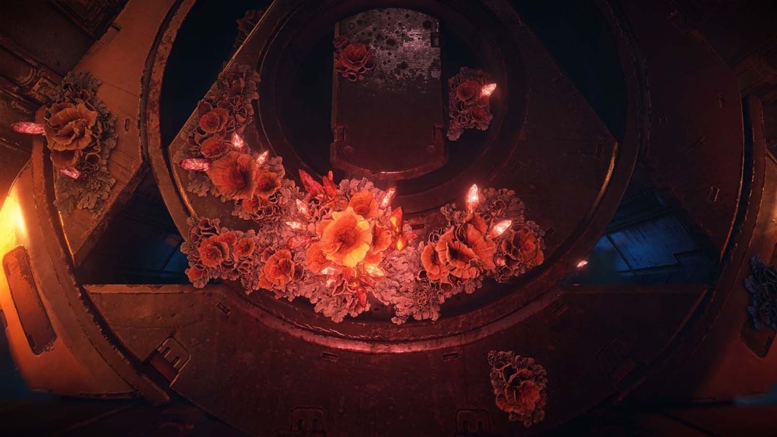 Horizon forbidden west красные кристаллы как разбить. Horizon forbidden west красный мор. Horizon forbidden west: burning shores. Horizon forbidden west красный мор. Огне блеск horizon forbidden west.