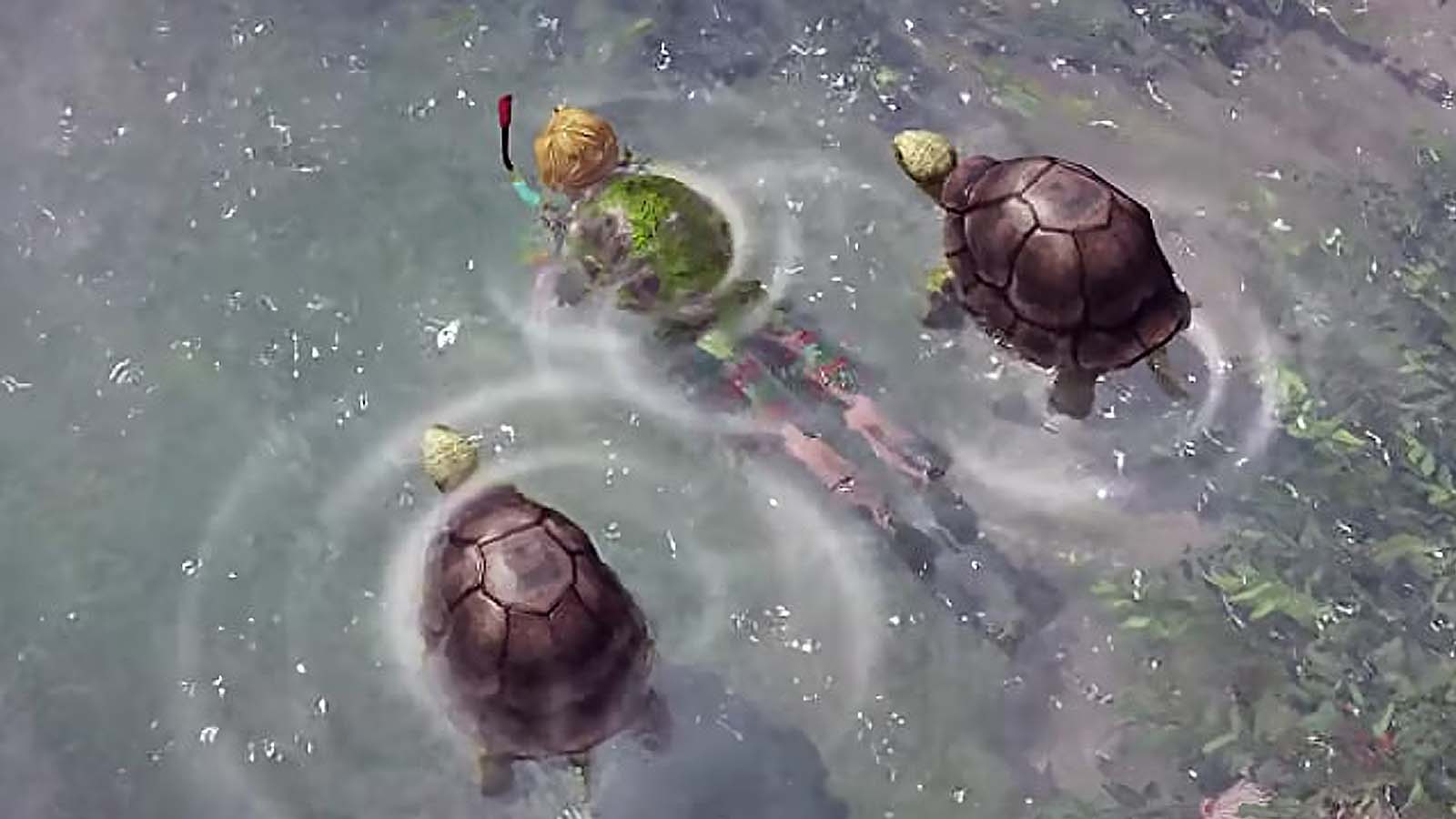 Lost Ark: как получить Хрупкий коралл и ездового маунта черепаху?