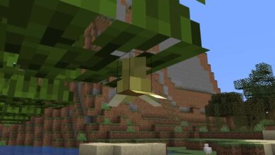 Как посадить мангровые деревья в Minecraft 1.19