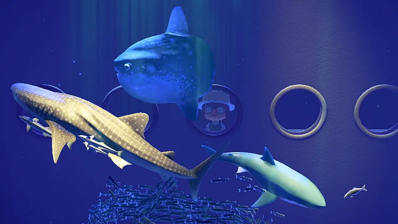 Все рыбы в Animal Crossing New Horizons: полный список (ноябрь 2023 г.)