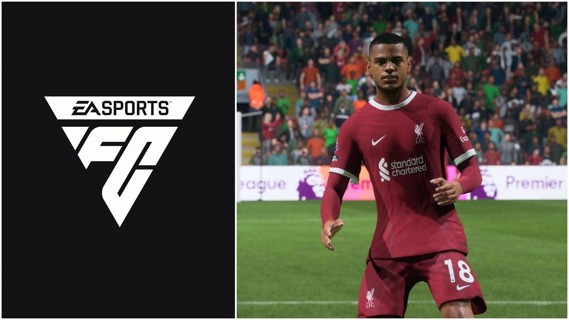 EA FC 25 Cody Gakpo Winter Wildcards SBC утекли: Ожидаемые статистика и стоимость