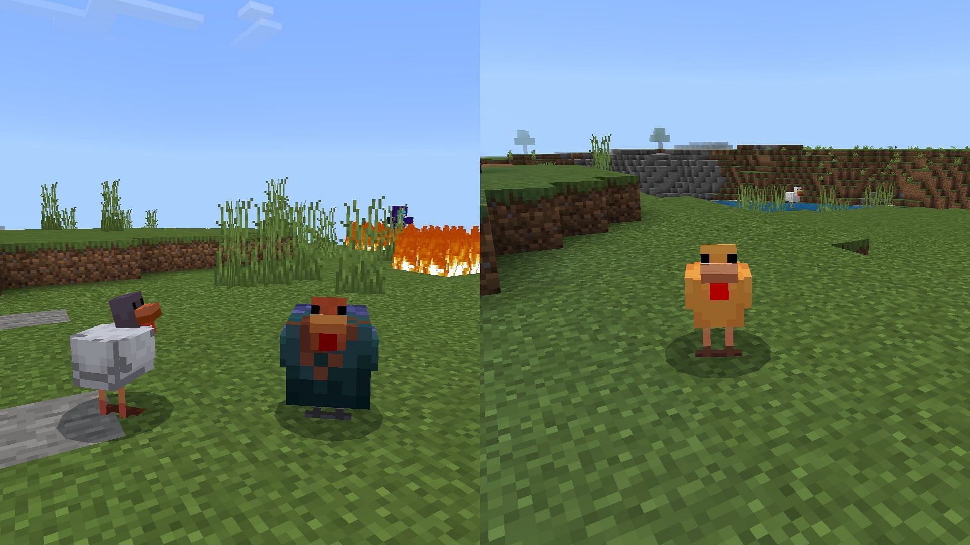 How would Minecraft benefit from chicken variants?