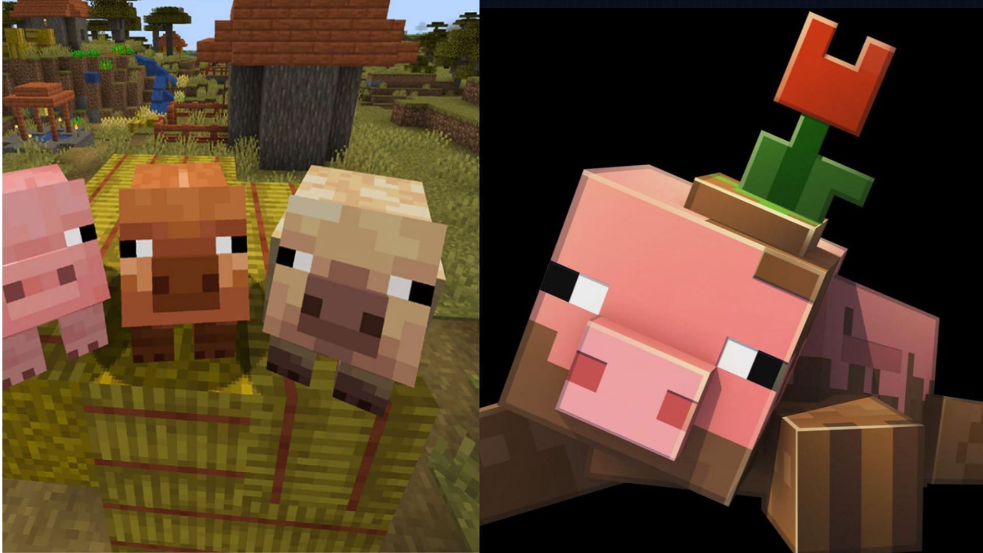 Minecraft pigs are getting an update, but a fan-favorite variant is missing