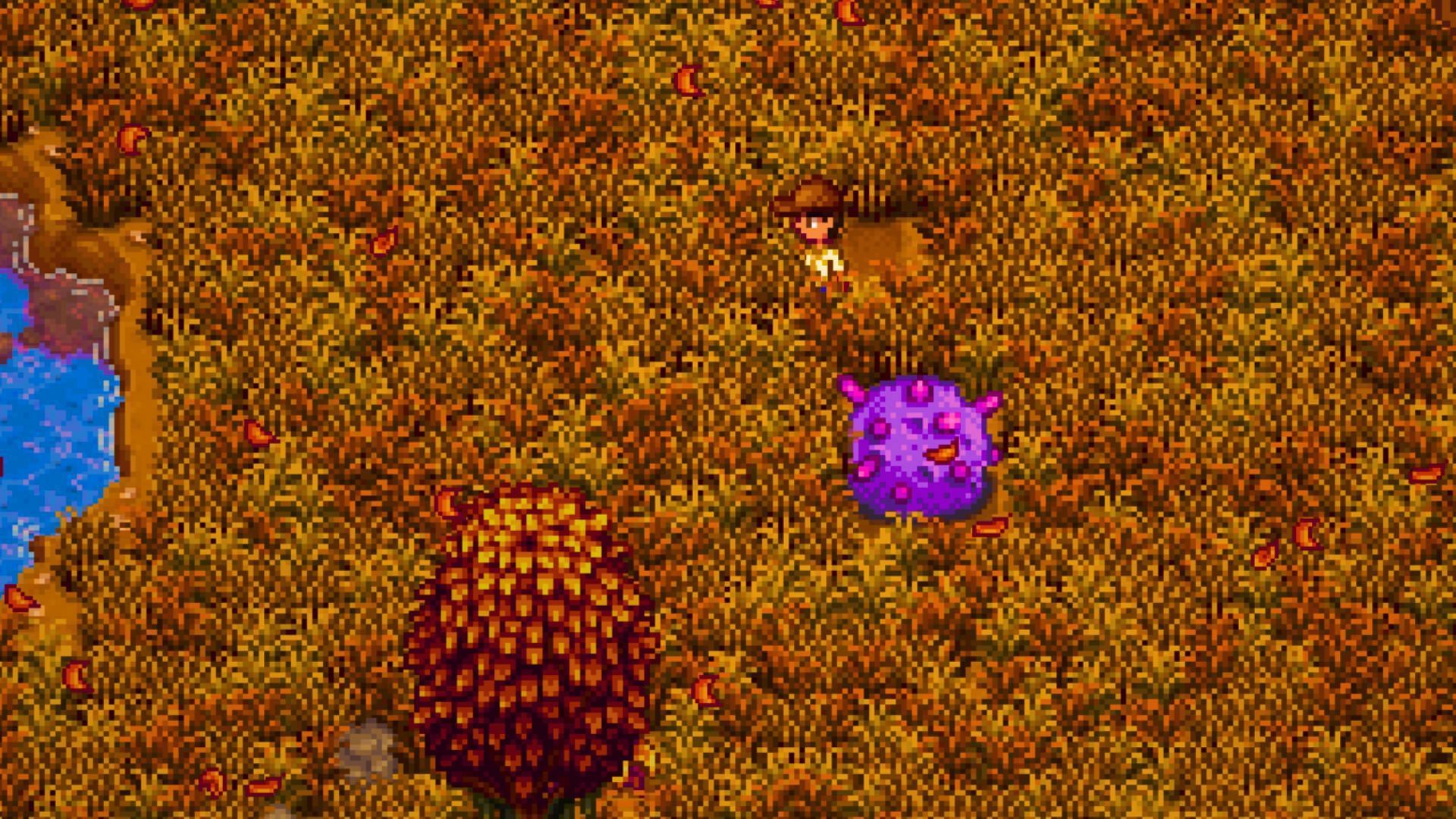 Stardew Valley Meteorite Event guide