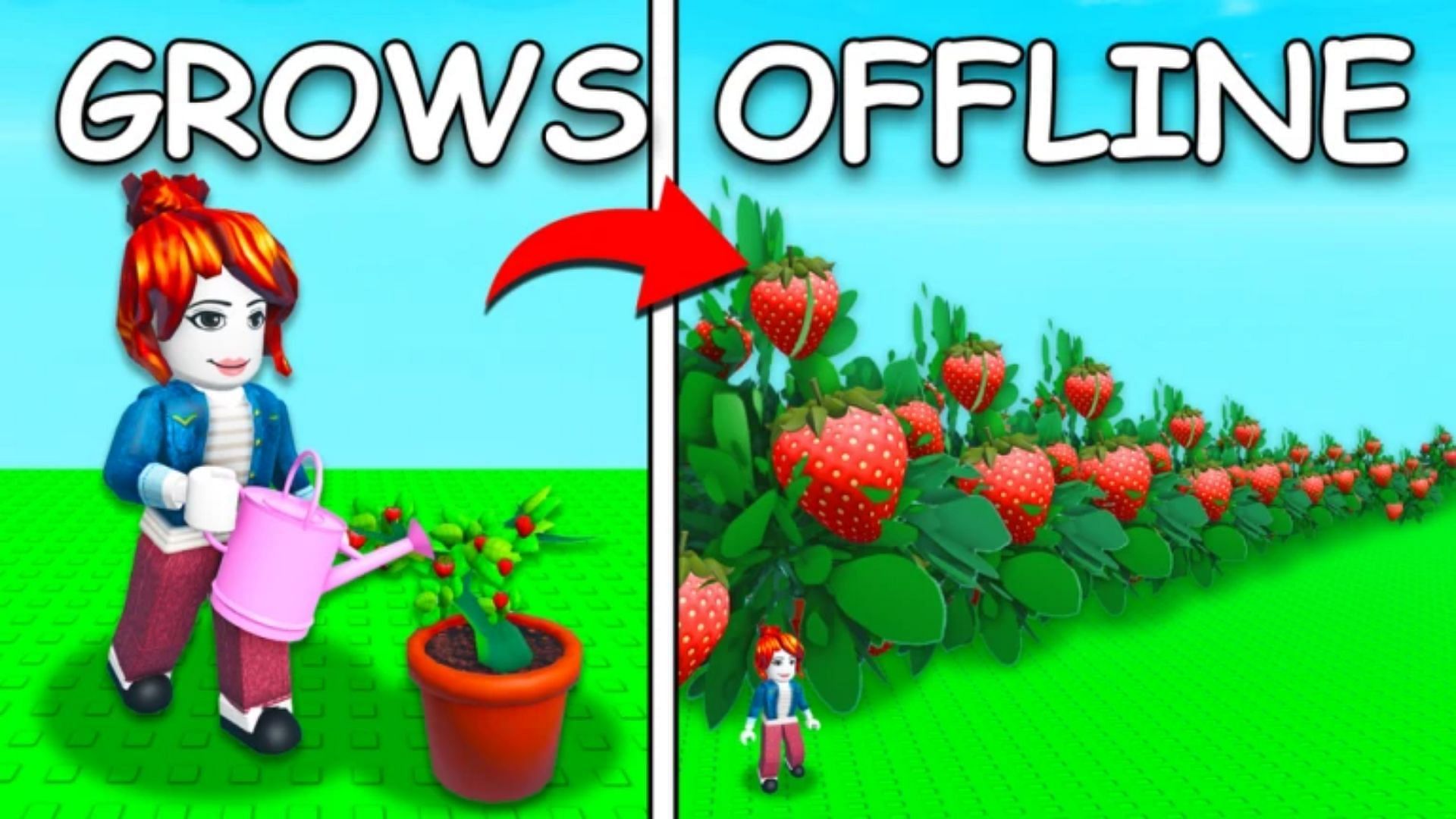 Grow a Garden Owl: Как получить и особенности