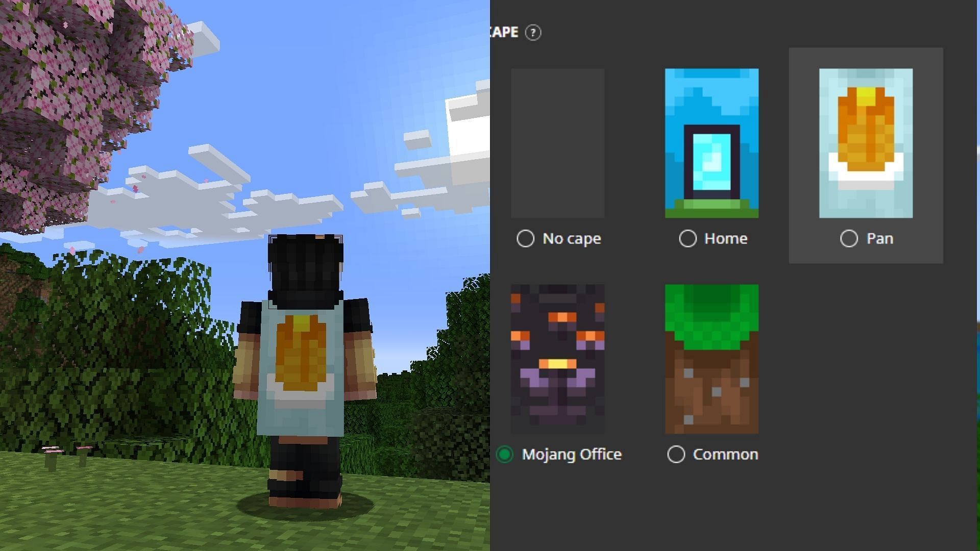 Два эксклюзивных капюшона Minecraft Bedrock наконец-то переходят в Java edition