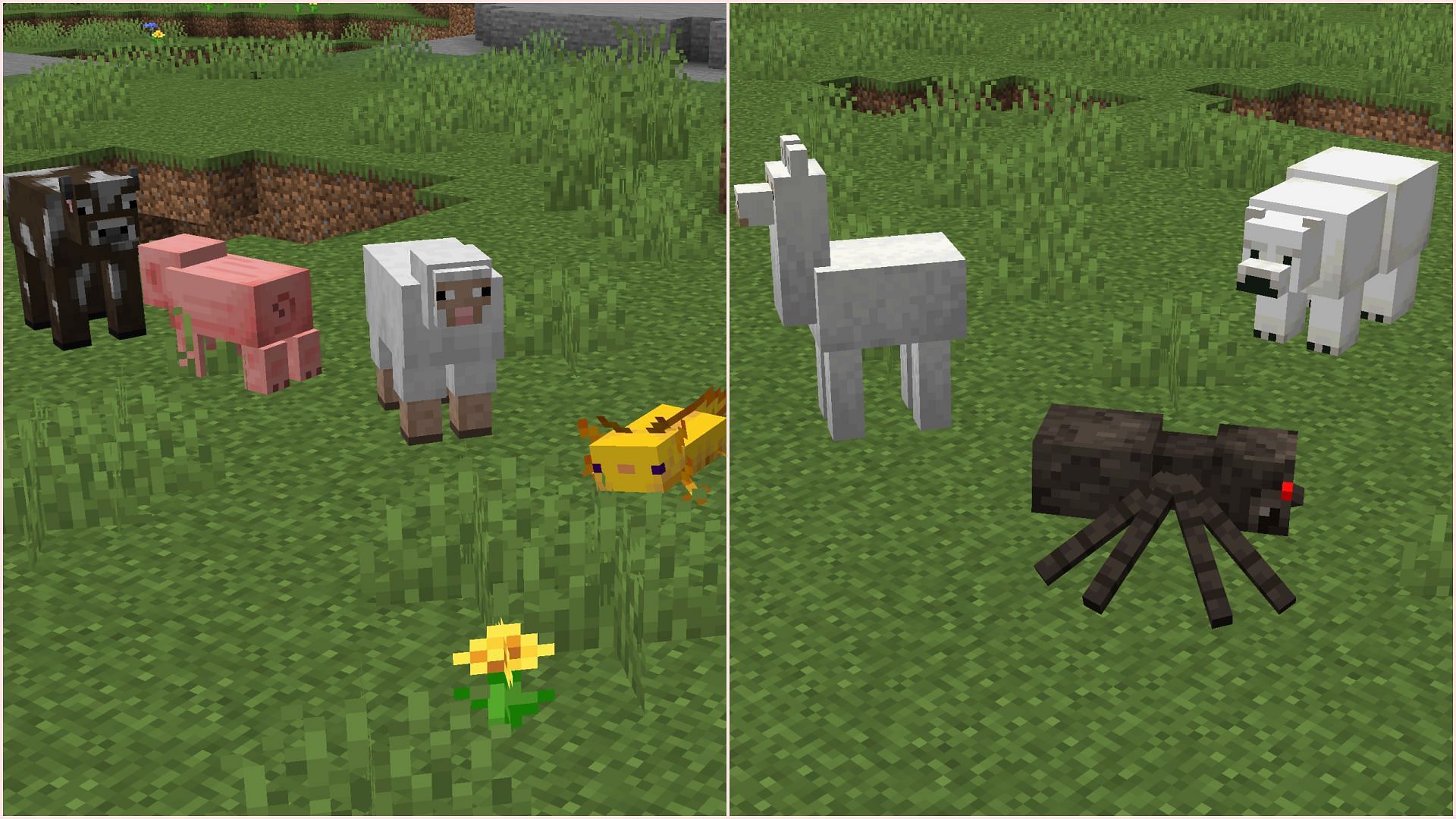 Все реальные животные, доступные в Minecraft