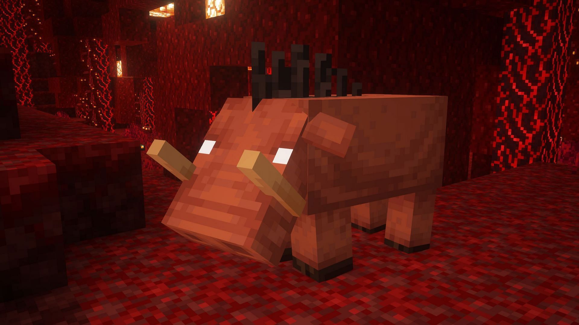 Minecraft руководство по хоглинам: механика появления, поведение и дропы