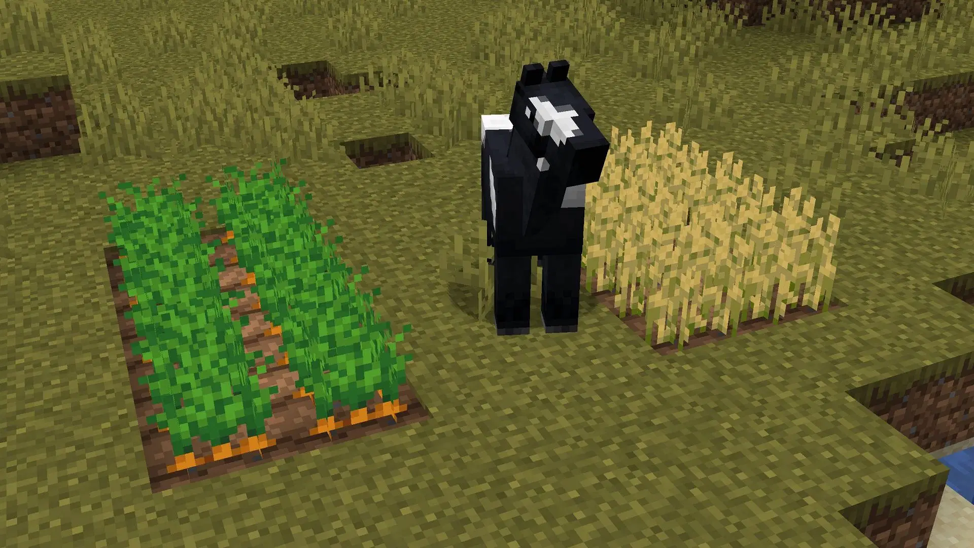 Почему морковь лучше для лошадей, чем пшеница в Minecraft?