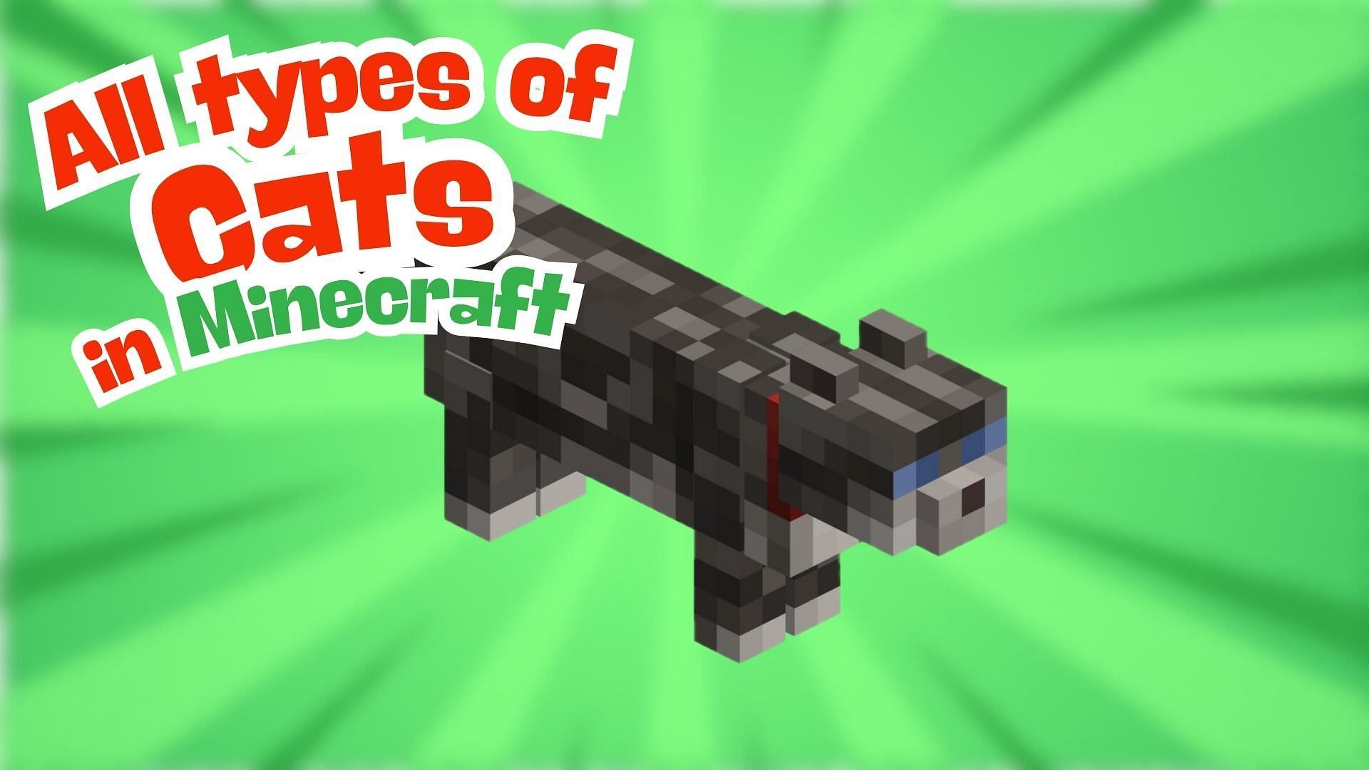 Все типы кошек в Minecraft