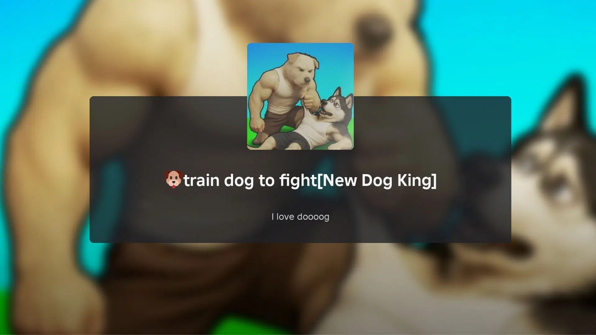Train Dog to Fight: гид по событию King Charlie