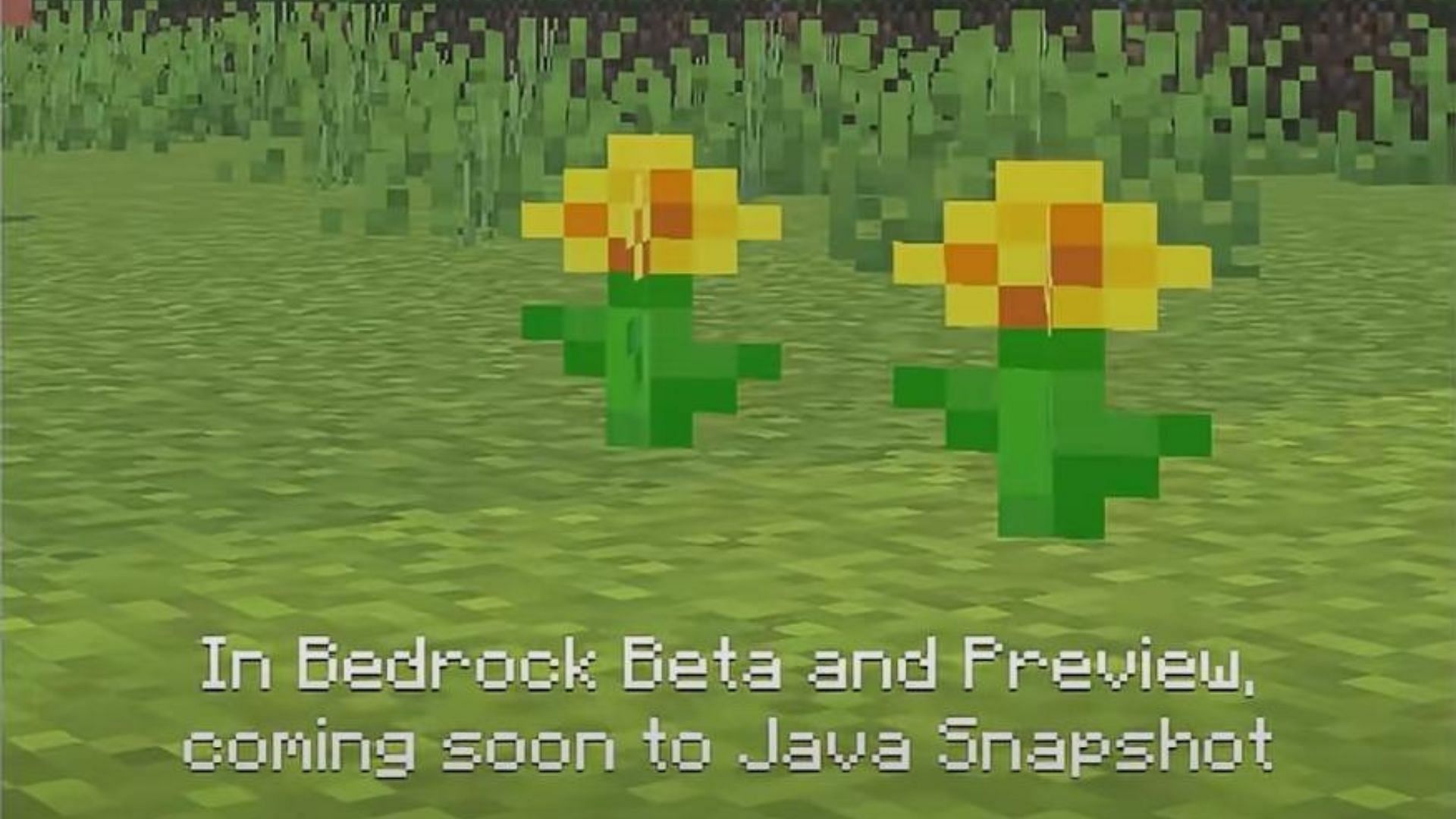 Фанат считает, что Minecraft намекнул на moobloom в недавнем коротком видео на YouTube