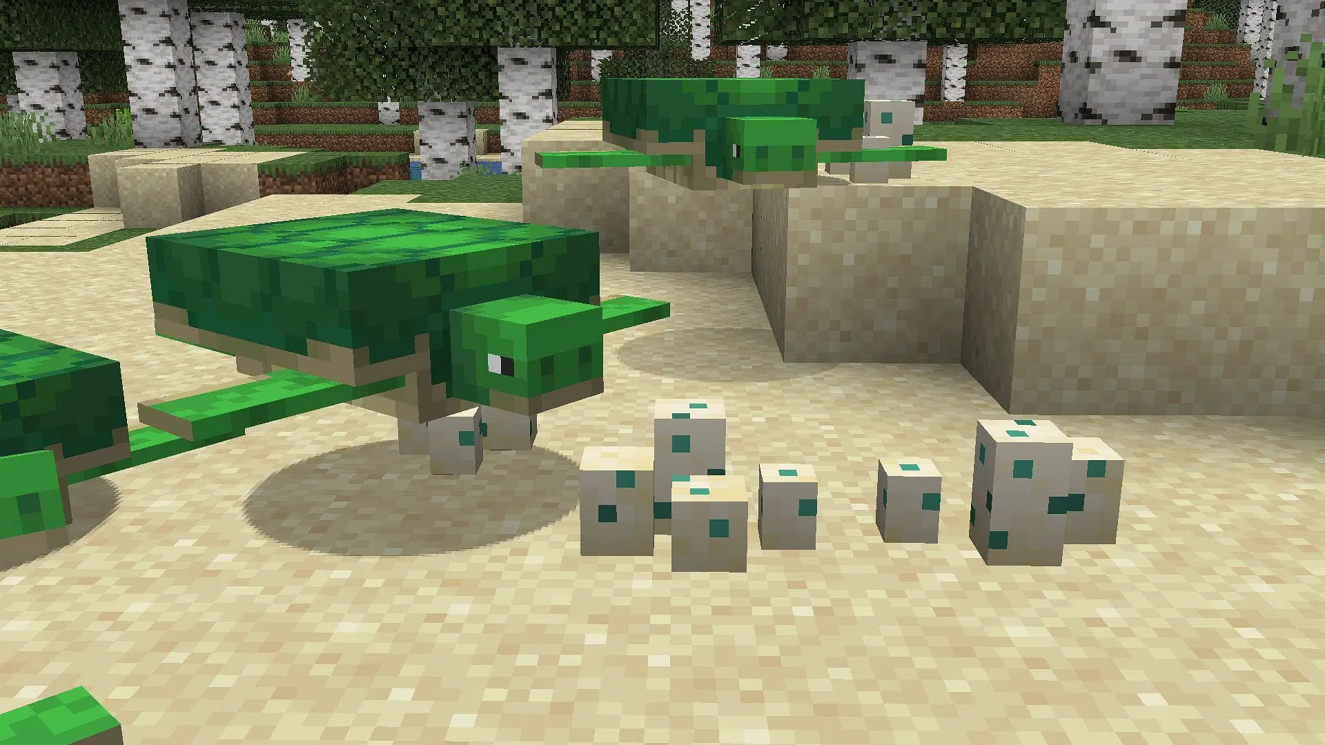Руководство по Minecraft turtle egg: Получение, высиживание и другое