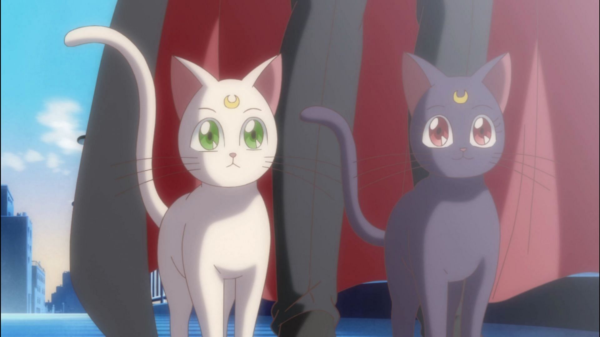 Кто такие Луна и Артемис? Фелинные спутники Sailor Moon, объяснено