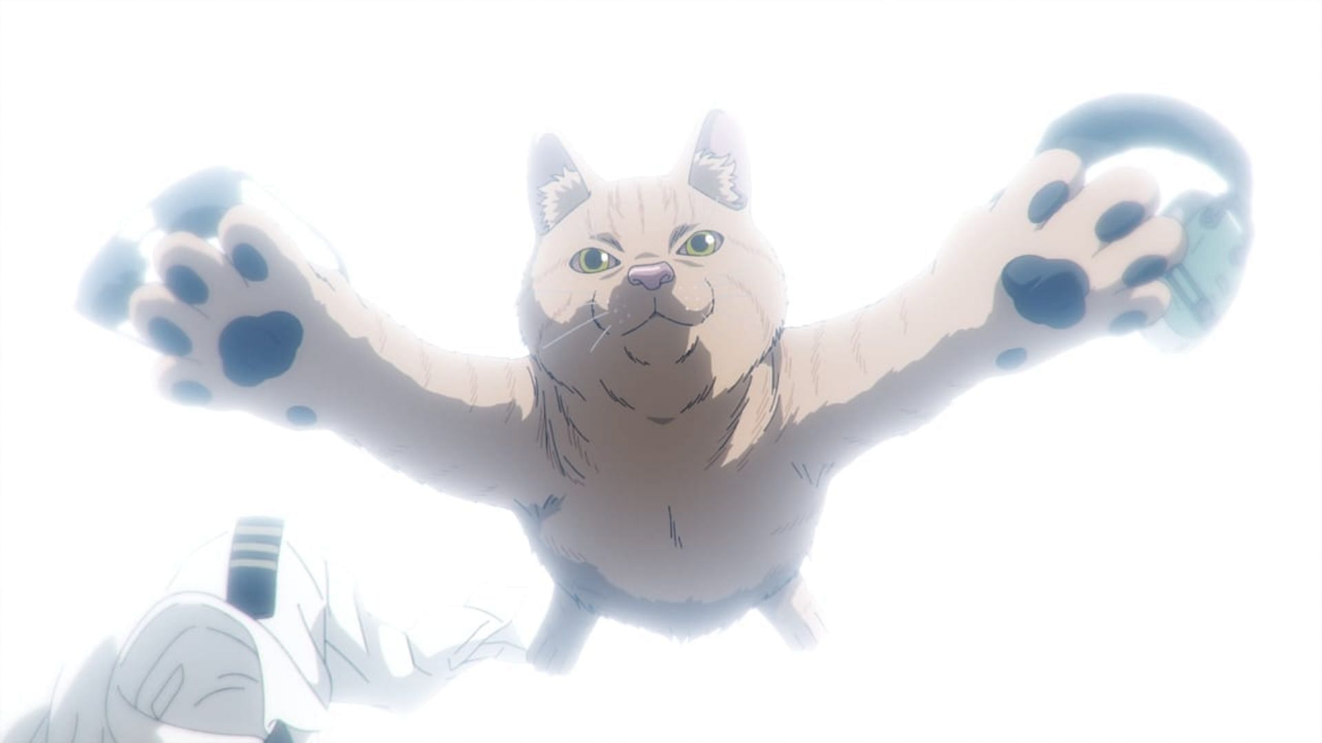 Обзор Nyaight of the Living Cat episodes 3 & 4: Захватывающий сюжет дополнен хорошей анимацией