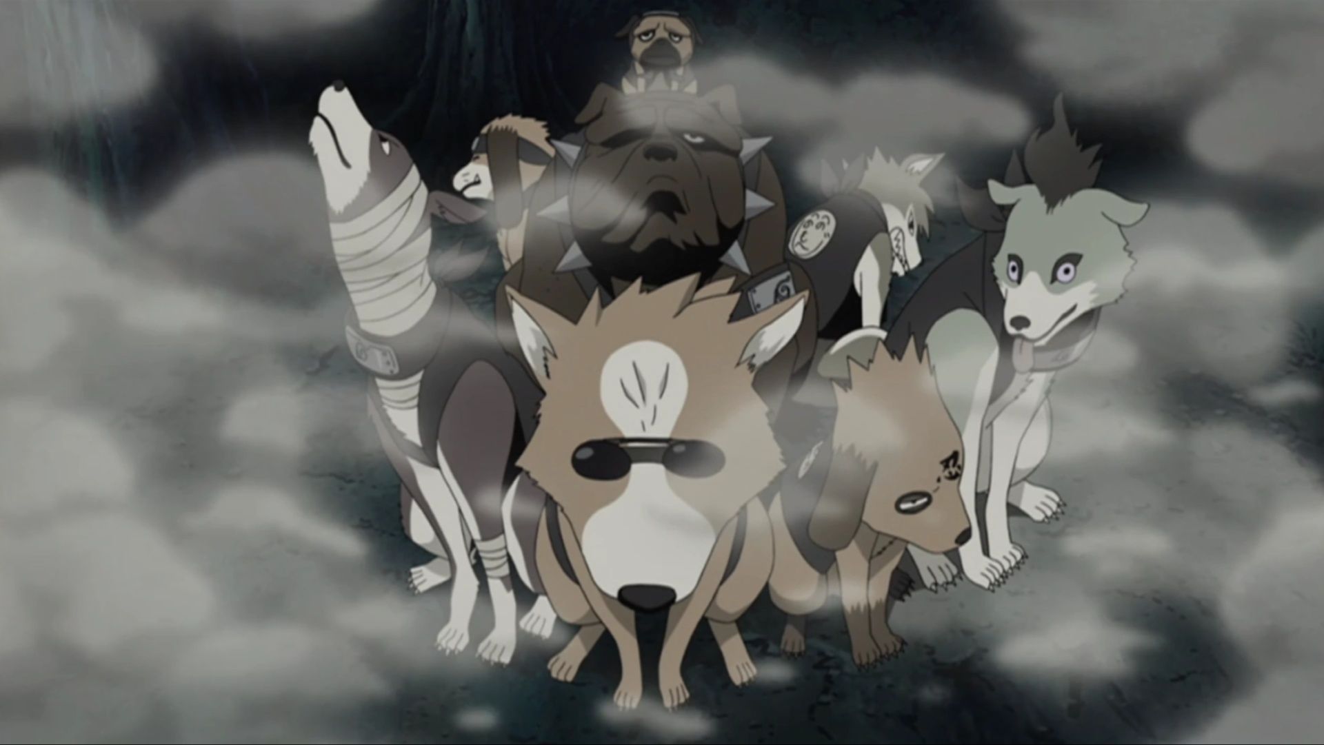 Я не могу не заметить, как Ninken Какаши в Naruto были точными параллями генинов
