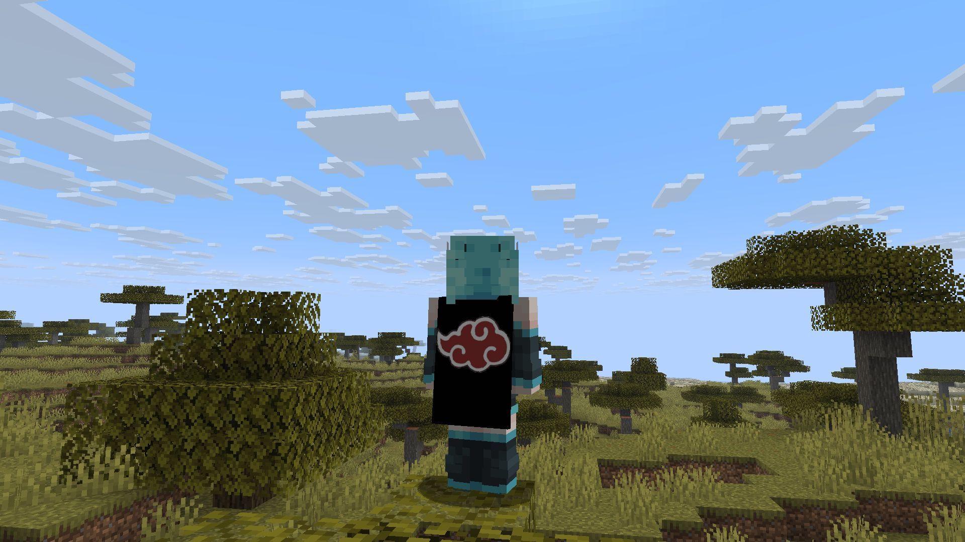 Как использовать кастомные накидки в Minecraft