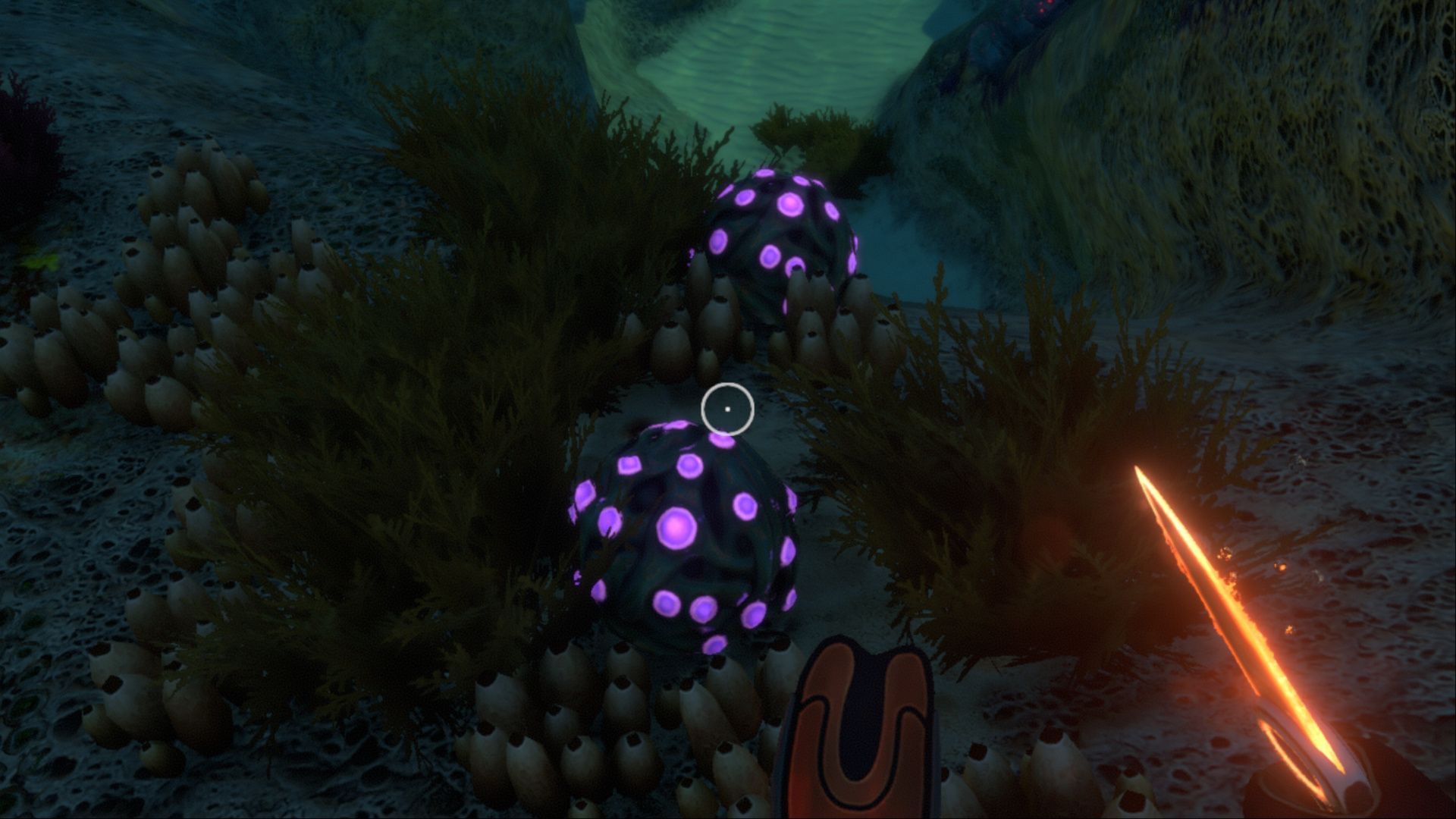 Где найти Gel Sacks в Subnautica
