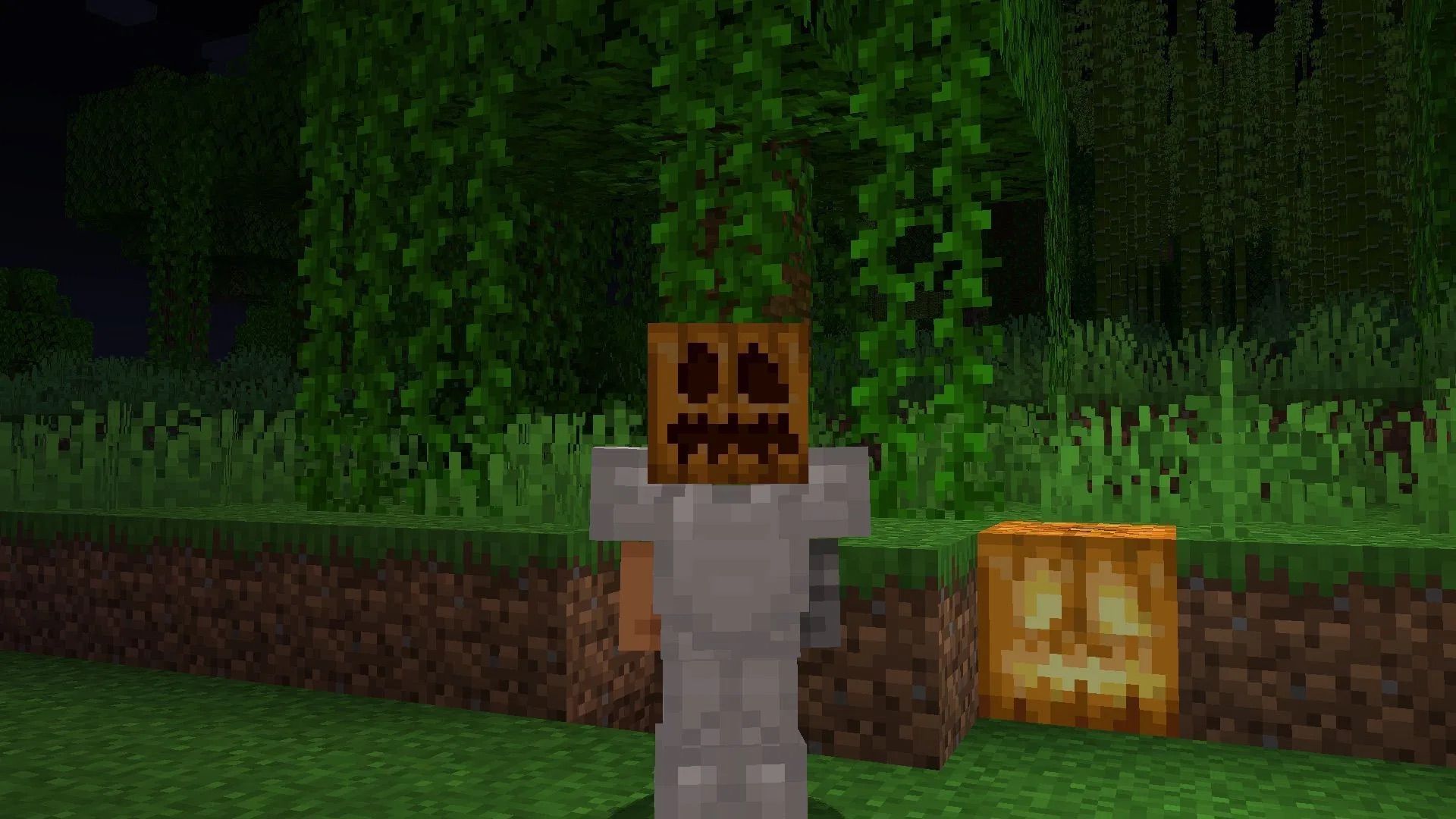 Где появляются тыквы в Minecraft?