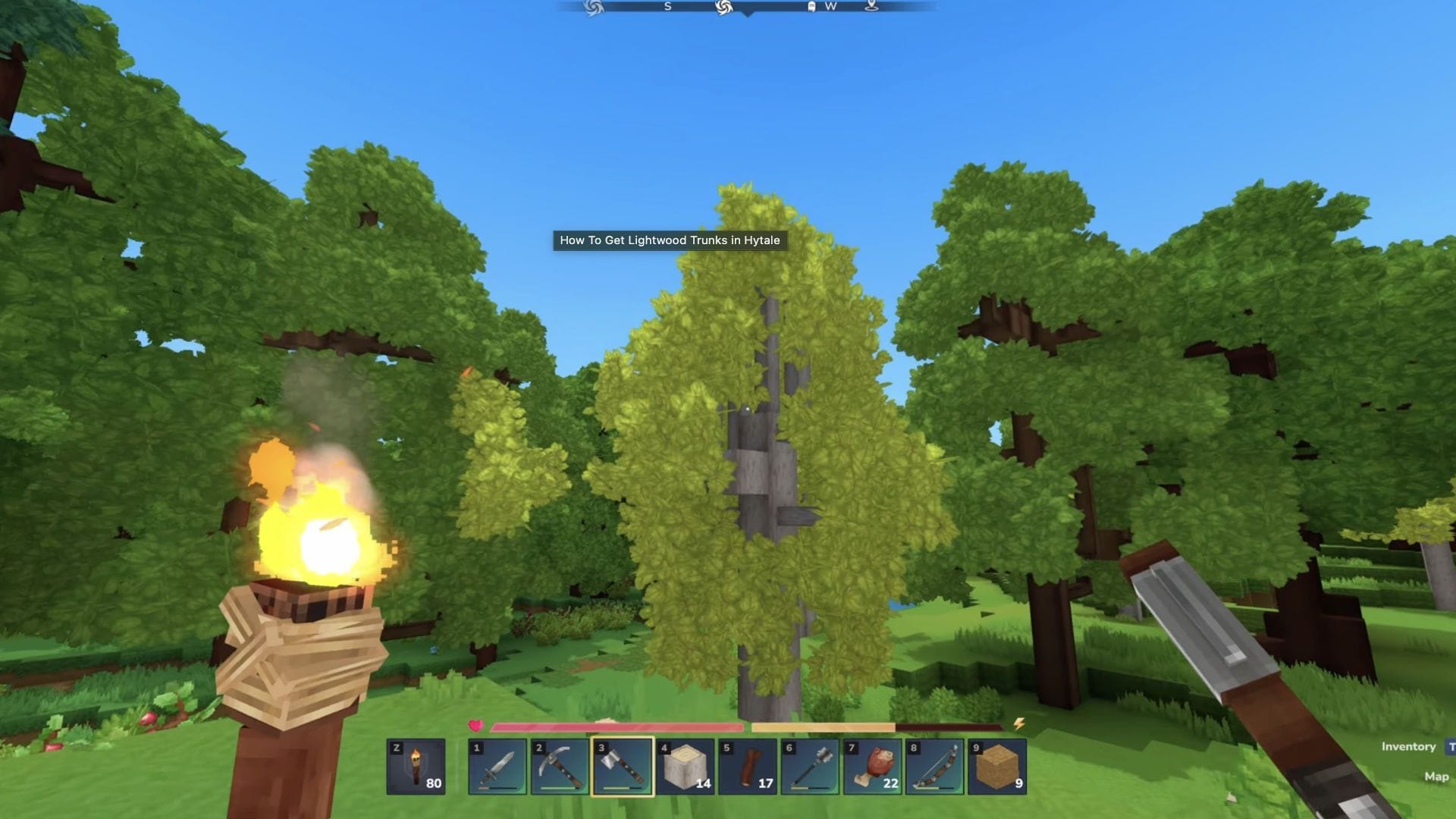 Где найти Lightwood в Hytale