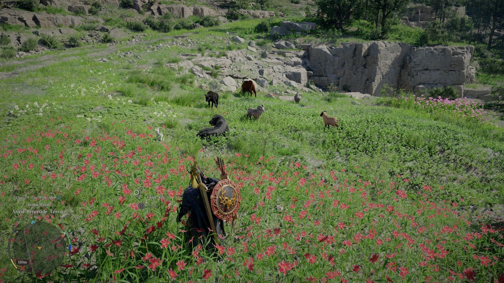 Как получить Fleece в Crimson Desert